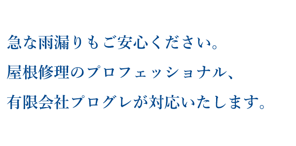急な雨漏りもご安心ください。屋根修理のプロフェッショナ、有限会社プログレが対応いたします。